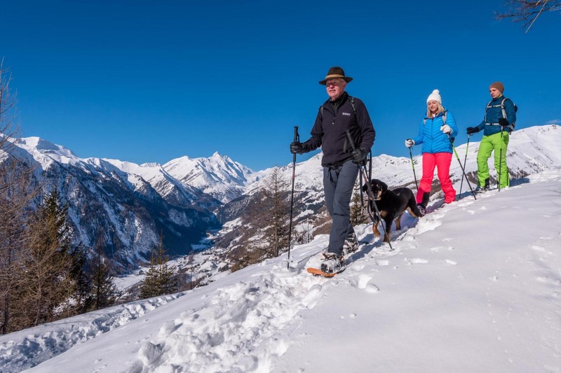 Schneeschuh-Wanderung mit dem Nationalpark-Ranger: Dein Hund darf mit