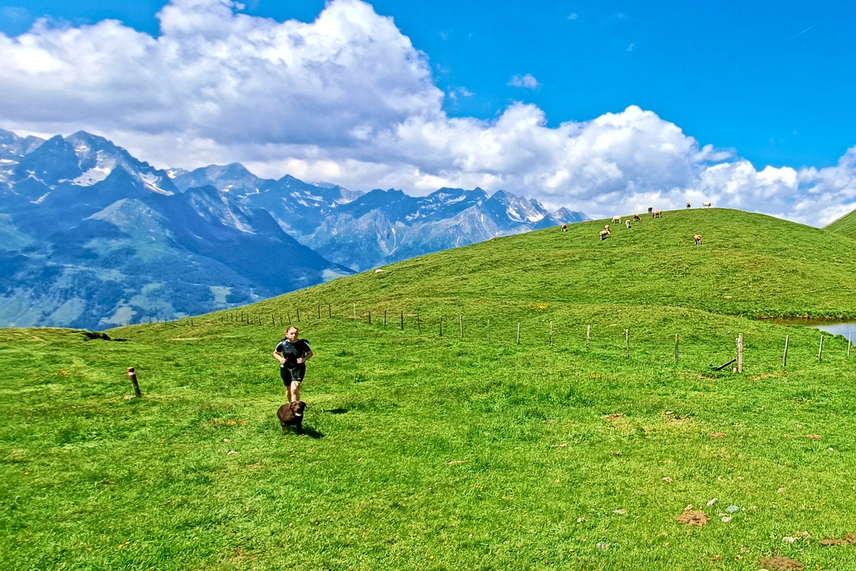 Über Bergwiesen führt der Weg auf den Aussichtsberg Mohar (2.605 m)