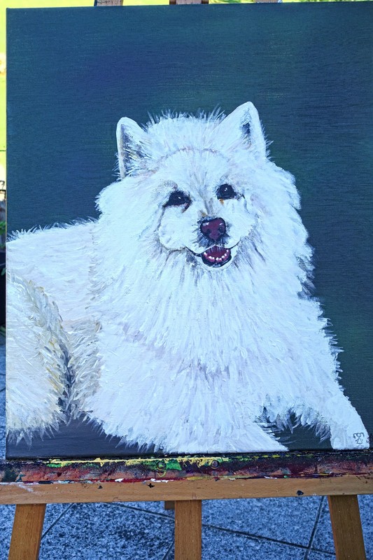 Aus Wunsch verewigt Gastgeberin Alla, sie ist Malerin, Euren Liebling auch auf Leinwand. Aus Wunsch verewigt Gastgeberin Alla, sie ist Malerin, Euren Liebling auch auf Leinwand.