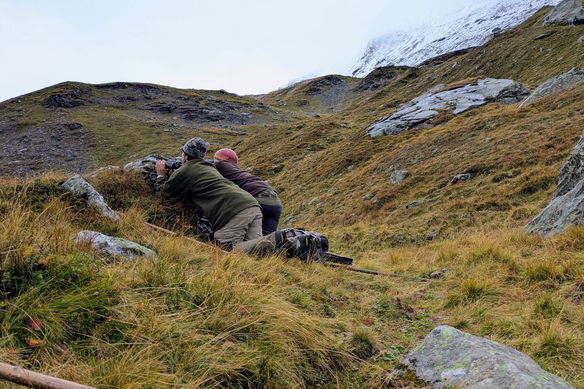 Erste Sichtung ! | © Almchalet Goldbergleiten Erste Sichtung ! | © Almchalet Goldbergleiten