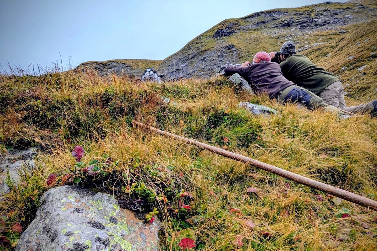 Sichere Ansprache mit dem Spektiv | © Almchalet Goldbergleiten Sichere Ansprache mit dem Spektiv | © Almchalet Goldbergleiten
