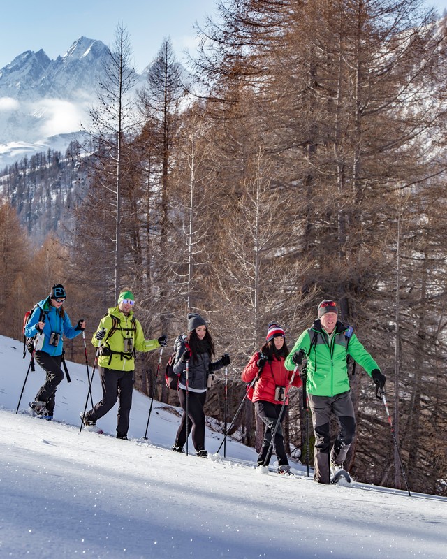 Leichte Einführungswanderung im Almgebiet - so gelingt der Einstieg ins Schneeschuh-Wandern für jedermann | Nationalpark Hohe Tauern, Berg im Bild