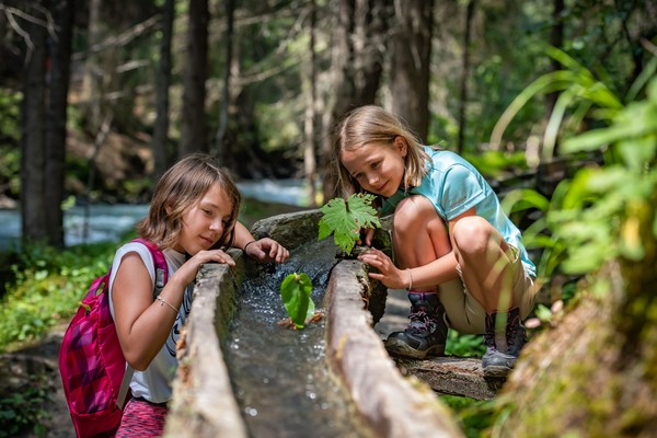 Kinder im Nationalpark