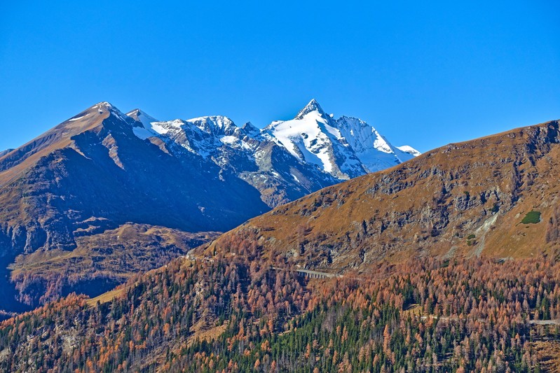 Indian Summer in the mountain forest