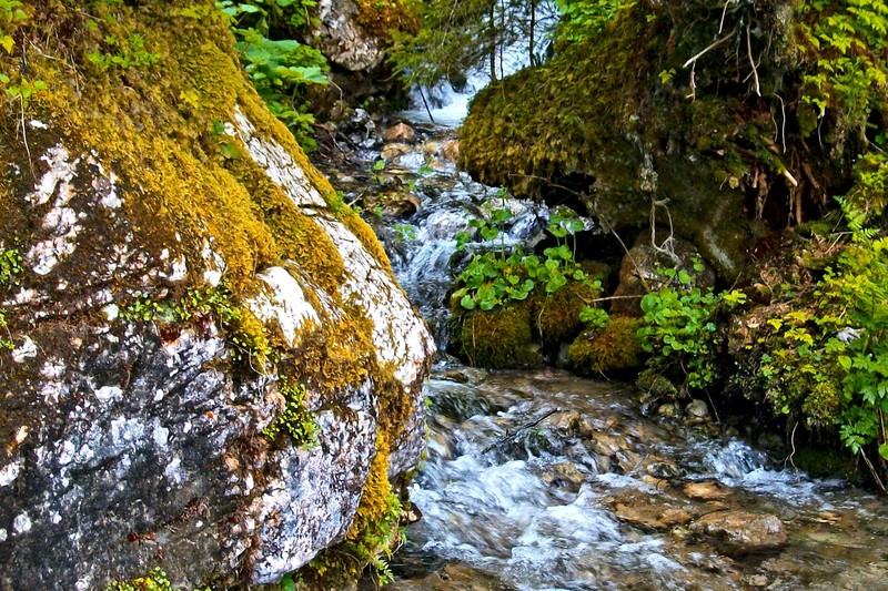 Mountain creek