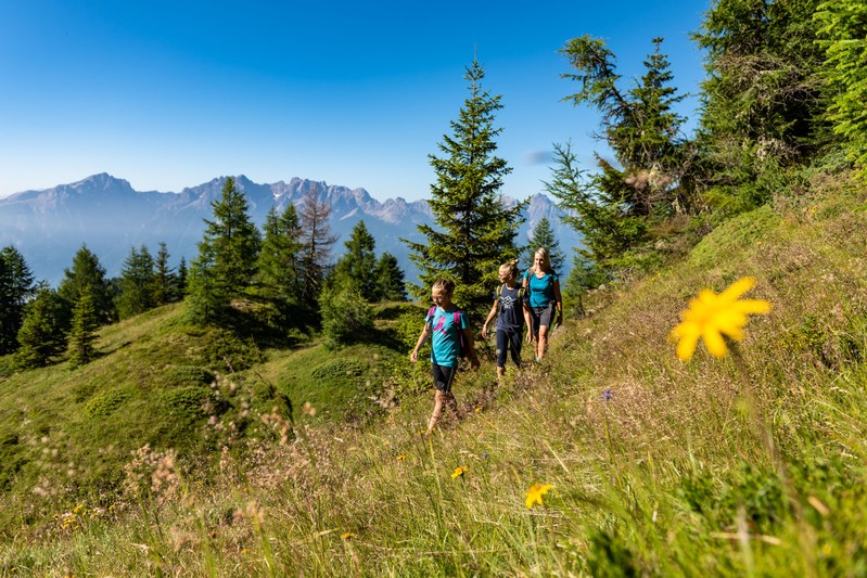 Piacevole escursione alpina con bambini attraverso prati di montagna in fiore