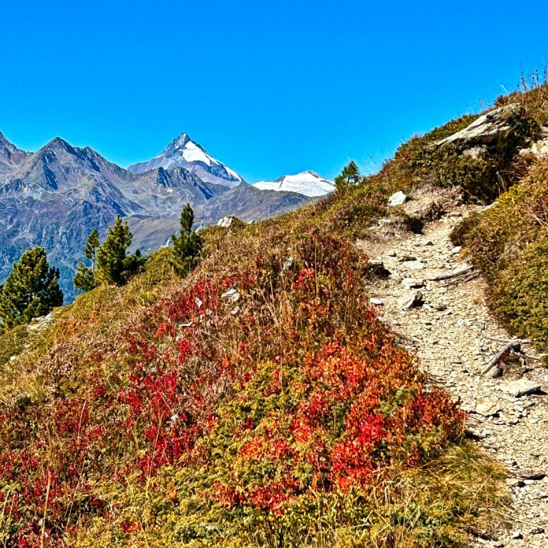 Colori vivaci, sole e panorami spettacolari: ecco l'autunno dedicato all'escursionismo sul Großglockner! | © Almchalet Goldbergleiten