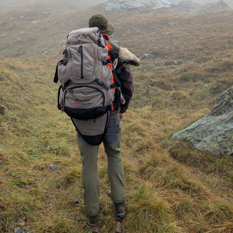 Beim Abstieg ins Tal muss die Gams ihren letzten Weg sehen können, aus alter Tradition. | © Almchalet Goldbergleiten Beim Abstieg ins Tal muss die Gams ihren letzten Weg sehen können, aus alter Tradition. | © Almchalet Goldbergleiten