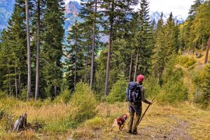 Die im Herbst praktisch menschenleeren Wanderwege rund um das Chalet sind ideal zum Wandern mit dem Hund.