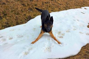 Das ist mein Schnee!