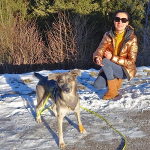 Ria, rumänische Straßenhündin mit trauriger Vergangenheit, die jetzt in Österreich lebt, ist im Winterurlaub bei uns aufgeblüht