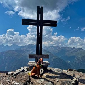 Auch gemeinsame Gipfelsiege sind möglich. Ein einzigartiges Erlebnis für Dich und Deinen vierbeinigen Kameraden!